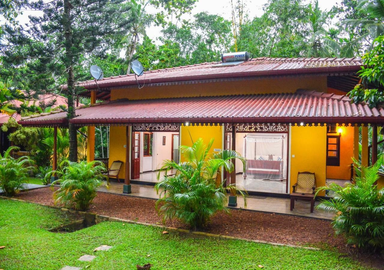 Araliya Gardens Hotel Hikkaduwa Dış mekan fotoğraf